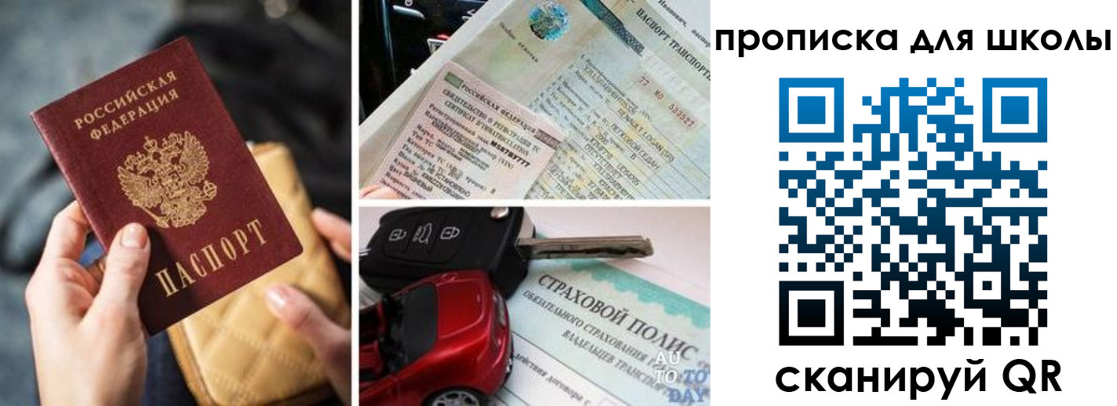 прописка регистрация в Курской области