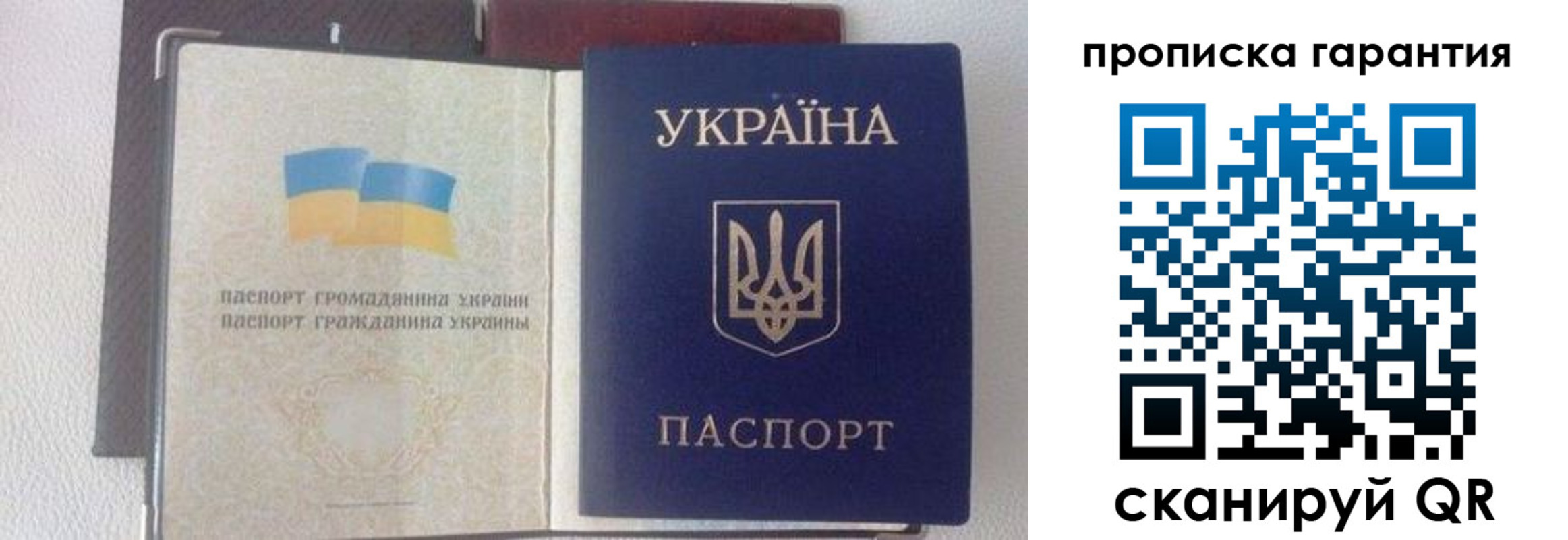 прописка регистрация в Курской области
